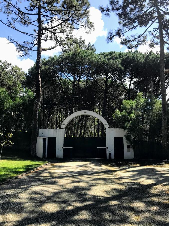 Villa Colares Sintra Exteriér fotografie
