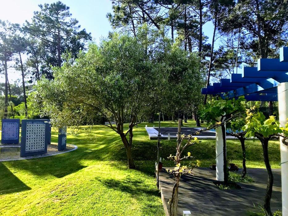 Villa Colares Sintra Exteriér fotografie